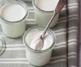 Plain Yogurt