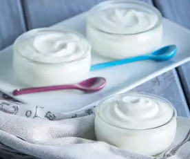 Coconut Milk Yogurt