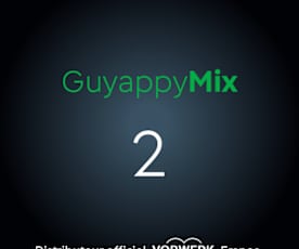 Guyappymix 2
