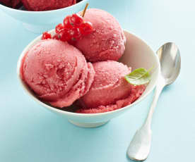 Johannisbeersorbet