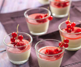 Panna Cotta