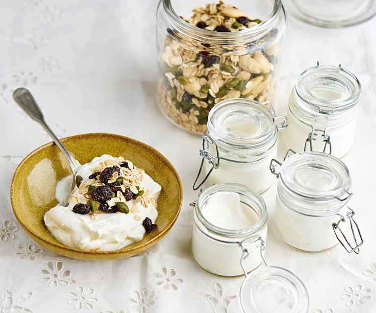 Iogurte tipo skyr Iogurte tipo skyr