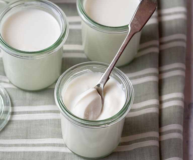 Plain Yogurt Plain Yogurt