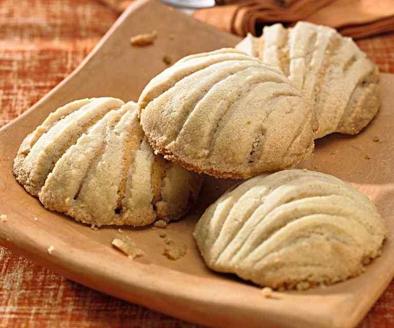 Conchas Conchas