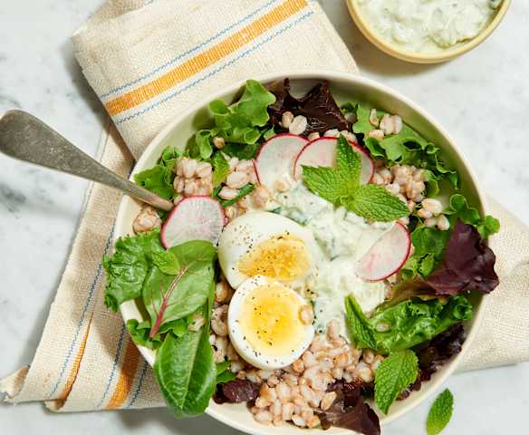 Farro Salad with Cucumber Yogurt Dressing
