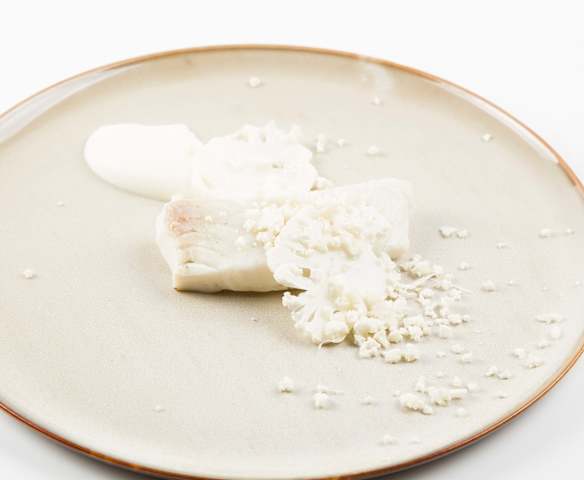 Pregado e texturas de couve-flor