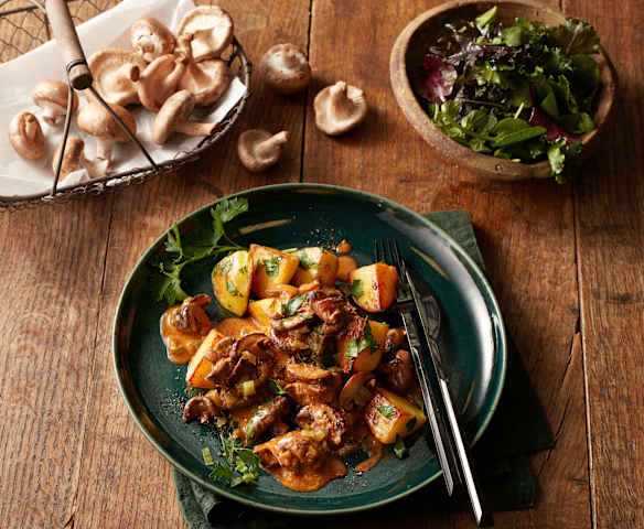 Pilz-Stroganoff mit Kräuterkartoffeln