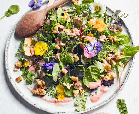 Wildkräutersalat mit Himbeer-Walnuss-Dressing