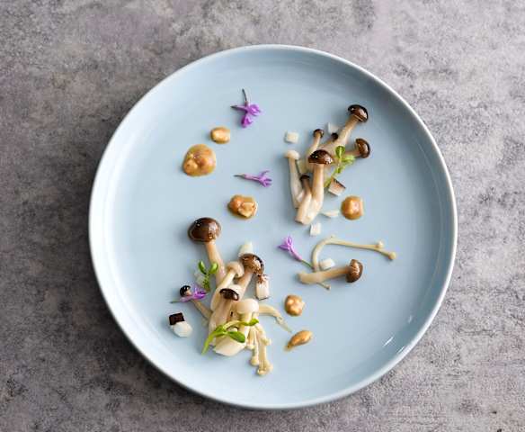 花生醬菇菇溫沙拉