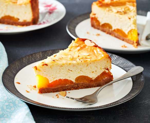 Aprikosen-Cheesecake Aprikosen-Cheesecake