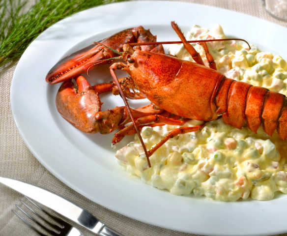 Astice in bella vista