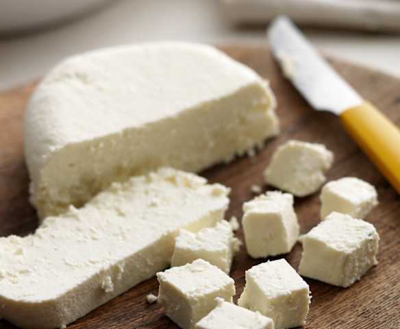Paneer