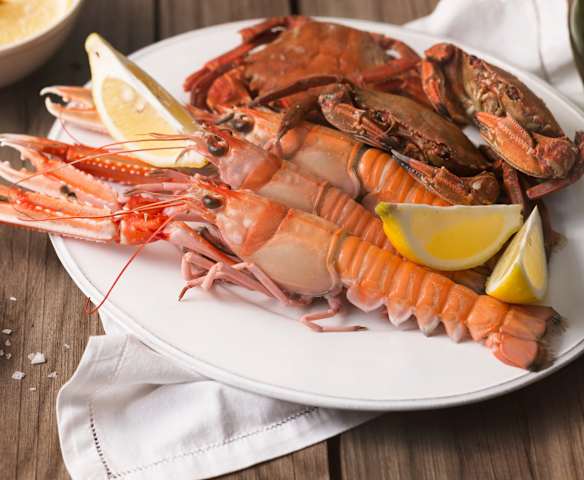 Nécoras y cigalas al vapor