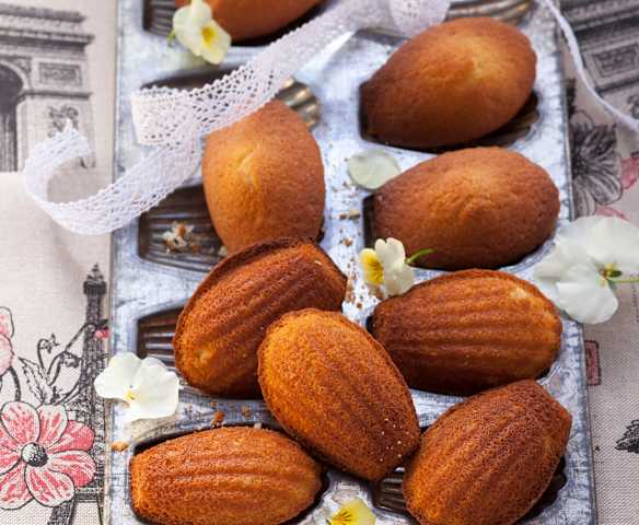 Madeleines