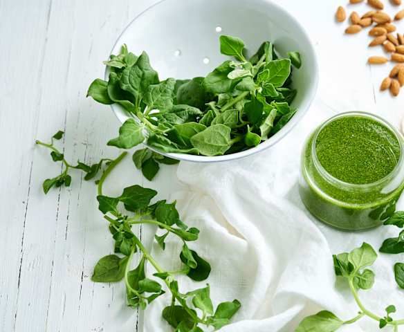 Salsa para pastas: pesto de espinaca