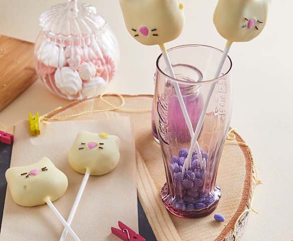 Cake pops miao