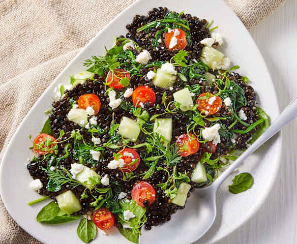Lentil Salad