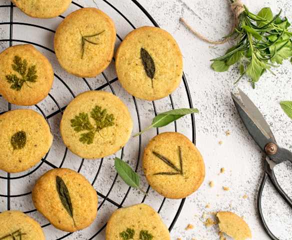 Galletas de parmesano y hierbas