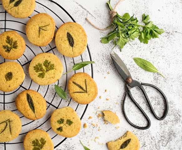 Kräuter-Parmesan-Kekse