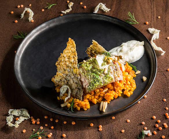 Pochierter Karpfen mit Linsengemüse