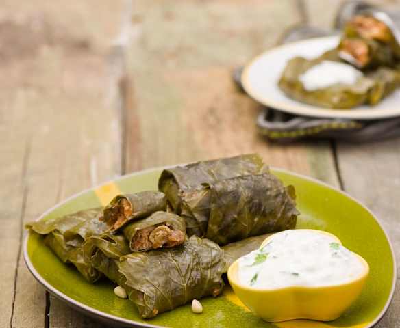 Gołąbki z liści winogron z kaszą jaglaną