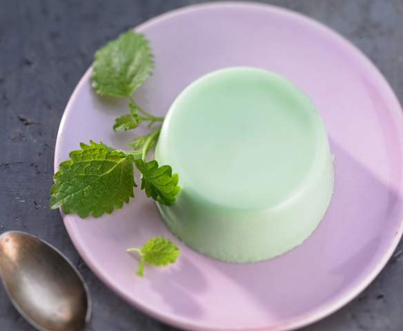 Waldmeister-Panna-Cotta