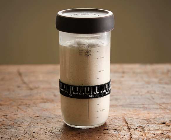 Sourdough Starter