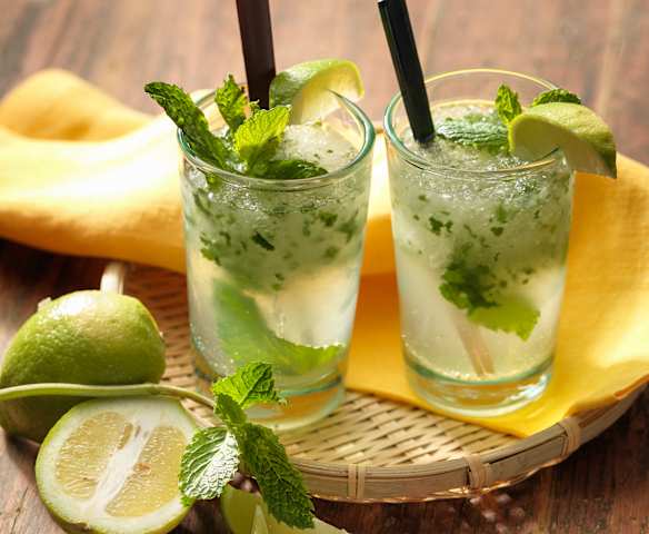 Mojito Mojito