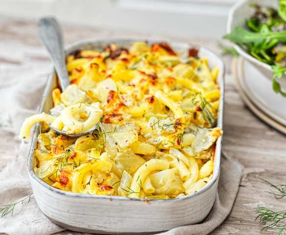 Gratin de macaroni et fenouil