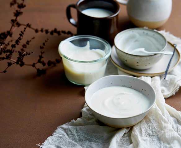 Iogurtes gregos de baunilha