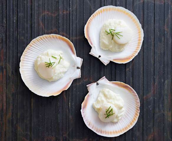 Steamed scallops with cauliflower and truffle purée