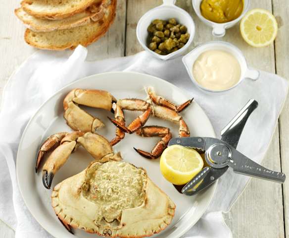 Sapateira na casquinha