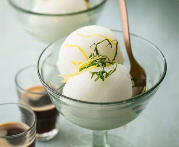 Limoncello Sorbet with Mint and Basil - Sorbetto al limoncello, menta e basilico Limoncello Sorbet with Mint and Basil - Sorbetto al limoncello, menta e basilico