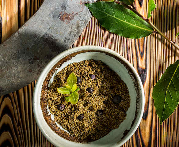 Wildgewürz-Mischung