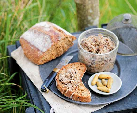 Rillettes de porc et de canard