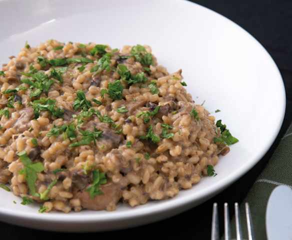 Byggotto med skogsopp