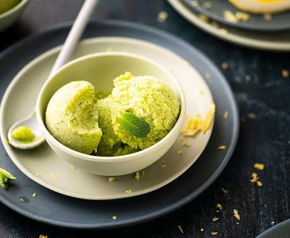 Courgette and Lemon Sorbet Courgette and Lemon Sorbet