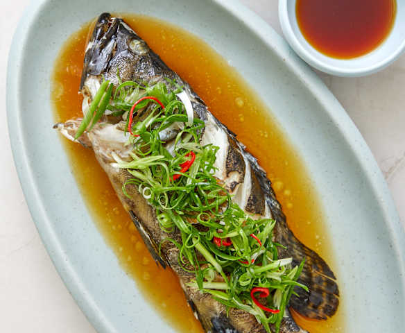 清蒸石斑魚