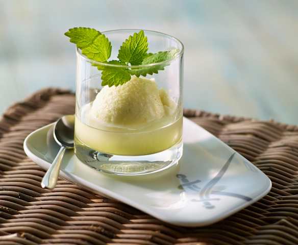 Limettensorbet mit Gin