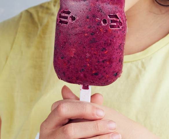 Glaces aux fruits animaux