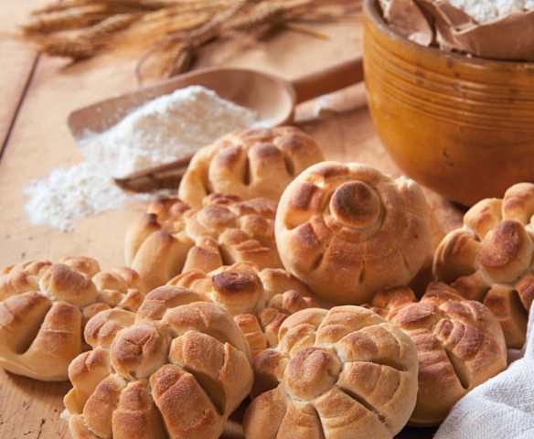 Panini rosette