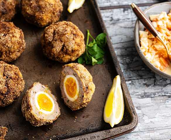 Scotch eggs Scotch eggs