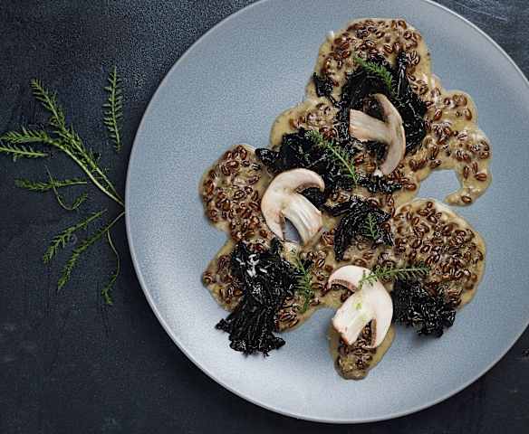 Fermentovaná červená pšenice a houby