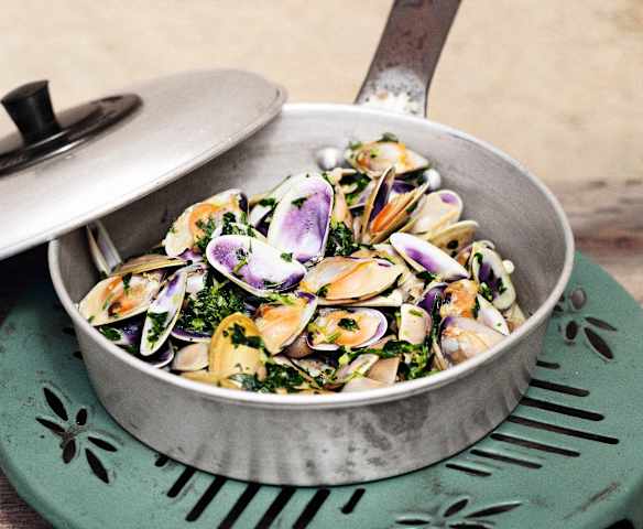 Tellines en persillade