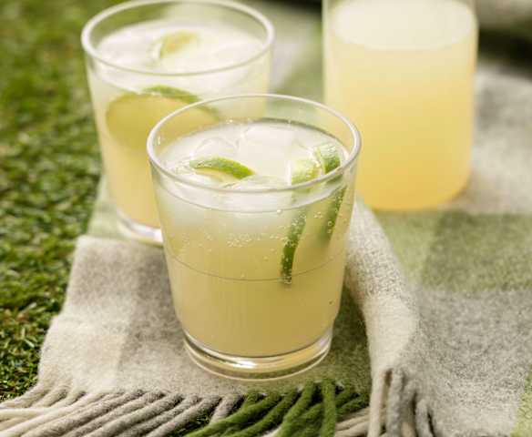 Ginger and Lime Fizzy Refresher
