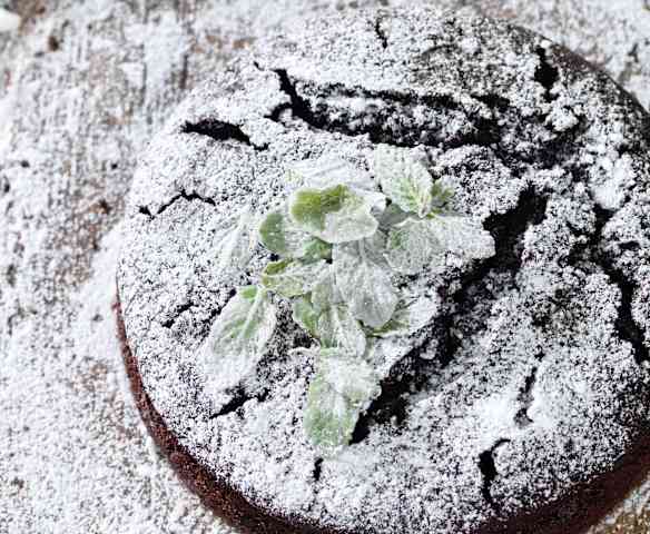 Courgette and Cocoa Cake