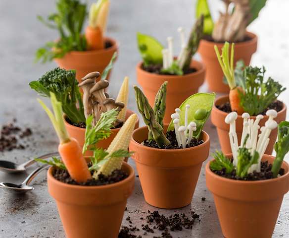 Potted baby vegetables