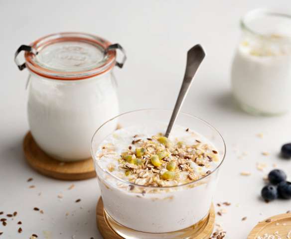 Coconut Milk Yogurt Coconut Milk Yogurt