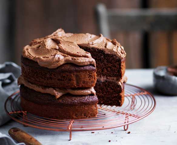 Two-layer chocolate cake