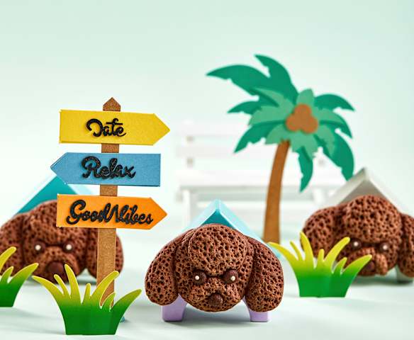 泰迪犬巧克力饼干